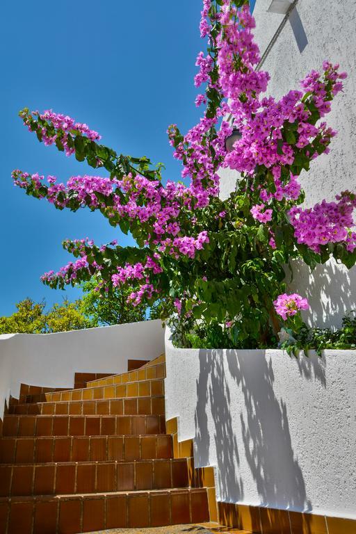 Bella Vista Apartments Криквеница Екстериор снимка